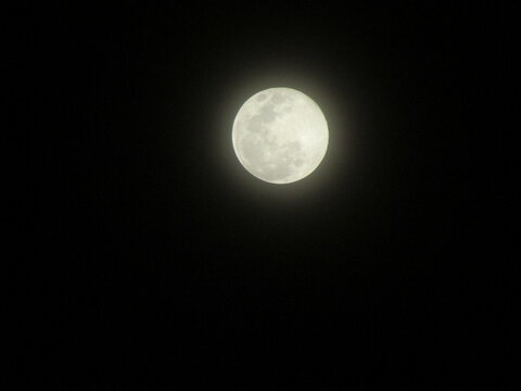full moon in the night