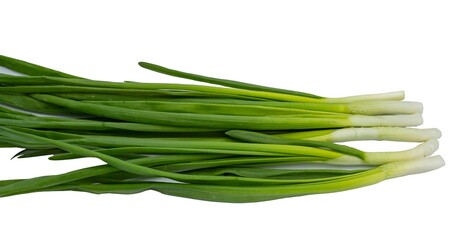 Fresh green onions on a white background. Healthy food.