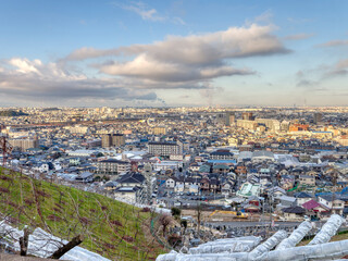 【HDR】斜面の葡萄畑と街の風景