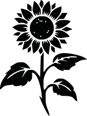 Isolated vector illustration. Sunflower plant. Black and white silhouette