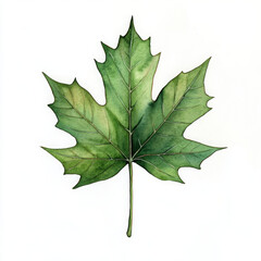 Fototapeta premium Green leaf shines, vibrant watercolor beauty in realistic boho style