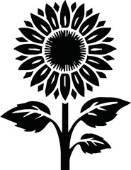 Isolated vector illustration. Sunflower plant. Black and white silhouette