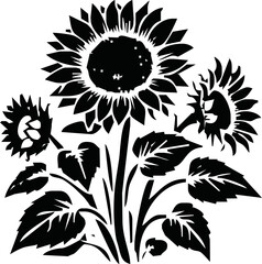 Isolated vector illustration. Sunflower plant. Black and white silhouette