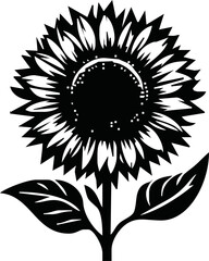 Isolated vector illustration. Sunflower plant. Black and white silhouette