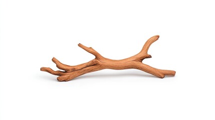 Obraz premium Natural wooden branch with intricate textures and curves, isolated on a clean background