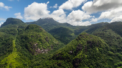 Obraz premium Slopes of mountains with evergreen vegetation. Seychelles, Mahe.