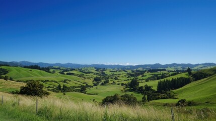 Fototapeta premium Serene Green Valley Landscape under a Clear Blue Sky