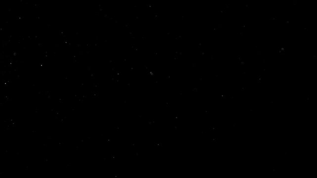 Natural Organic Dust Particles Floating On Black Background. Glittering Sparkling Particles Randomly Spin In The Air With Bokeh. Dynamic Particles With Fast And Slow Motion. Shimmering Dust In Space.	
