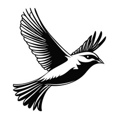 Fototapeta premium Simple flying bird linear illustration stencil graphic vector