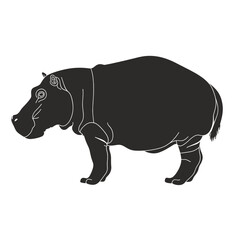 Pygmy hippo silhouette illustration wildlife animal vector