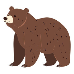 Bears illustration wildlife animal vector