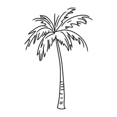 Palm drawing art simple vector