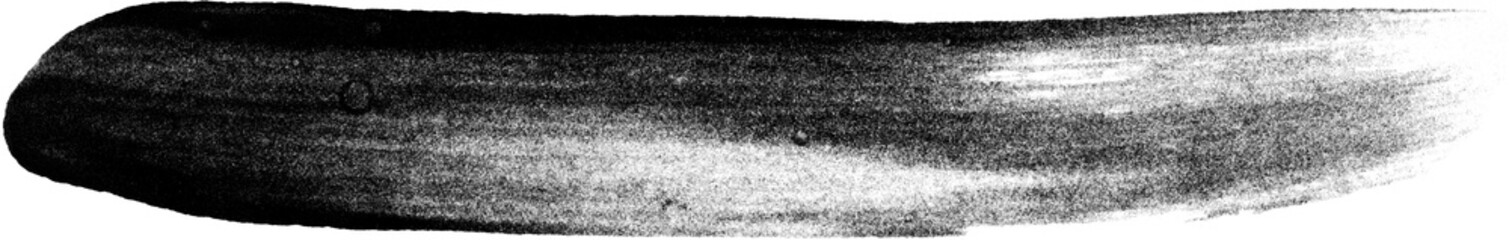 brush stroke isolated on white background