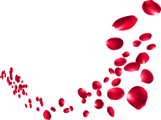 rose red falling petals. Realistic flying petal  or rose flowers, panoramic wedding wallpaper or cosmetic ad spring background vector illustration