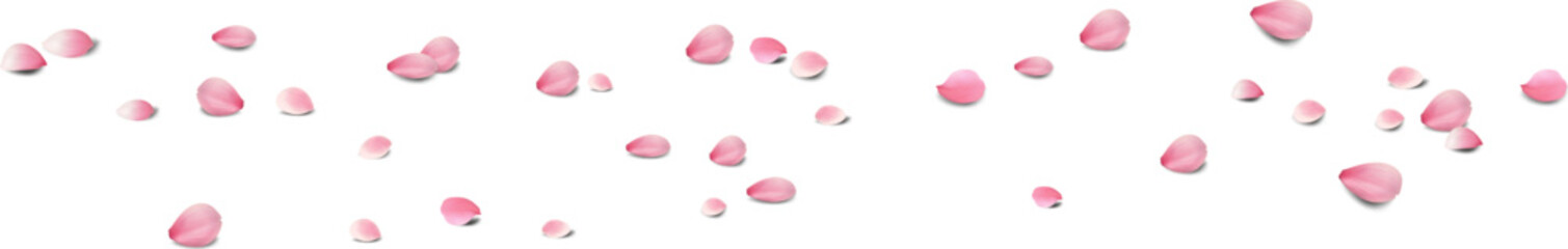 rose petals Or cherry blossom petals will fall on abstract floral background with gorgeous rose petal greeting card design