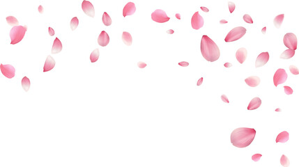 large and small cherry blossom petals romantic background with realistic pink falling motion