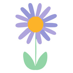 Individual lris of colorful flower illustration asteraceae blossom vector