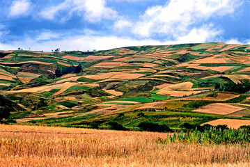 Agricultura na Cordilheira dos Andes, Equador.