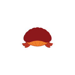 Cute snail vector illustration icon