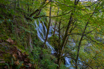 Beauty in nature, amazing waterfall in forest. Waterfall and pond. Panoramic beautiful deep forest waterfall. Beautiful view to waterfalls with green forest. The tranquil waters of waterfall cascade.