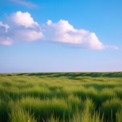 Obraz premium 들판배경