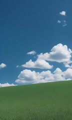 Fototapeta premium 들판배경