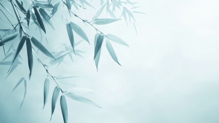 Fototapeta premium Beautiful background with bamboo leaves in pastel blue