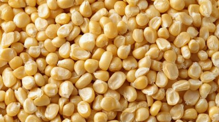 Vibrant Close-Up of Raw Corn Kernels on Cob