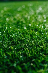 Fototapeta premium Close-up of dewy artificial grass with glistening droplets under soft sunlight in a serene setting