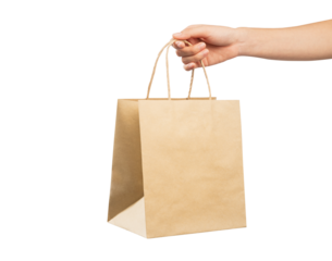Woman hand holding shopping bag on isolated background.