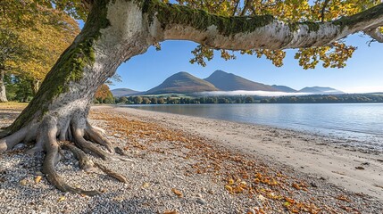 Autumn lake view, tree roots, mountain background, serene landscape, travel poster