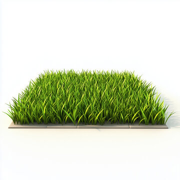 grass on white background