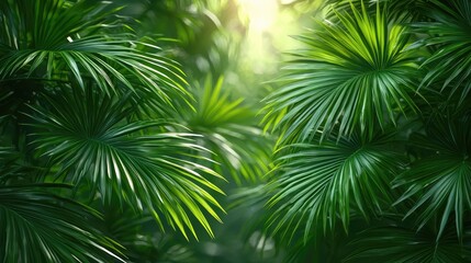 Lush tropical foliage with vibrant green leaves illuminated by soft sunlight in a serene jungle