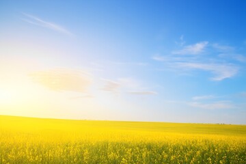 Obraz premium spring sun