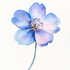 Watercolor illustration. One blue spring flower isolated on white background. Aquarelle sketch. Blurred paint.	