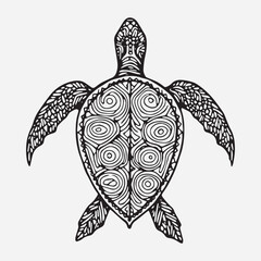 Fototapeta premium Highly Detailed Turtle vector illustration Mandala Designs
