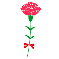一輪の赤いカーネーション