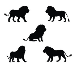 A Wild Lion Silhouettes Set