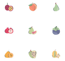 set of fruit vector icons with white background