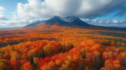 Vibrant autumn landscape showcasing colorful foliage with a majestic mountain backdrop
