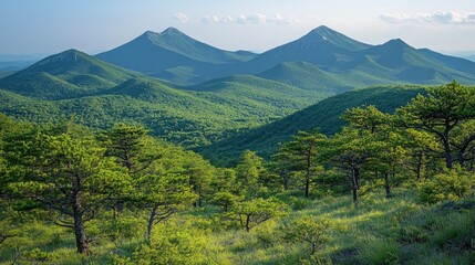 Lush green mountains under a clear sky, showcasing vibrant trees and rolling hills in nature