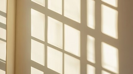 Soft sunlight casting intricate shadow patterns on a wall, creating a serene atmosphere indoors