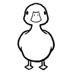 duck_front_line