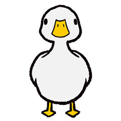 duck_front_line_color