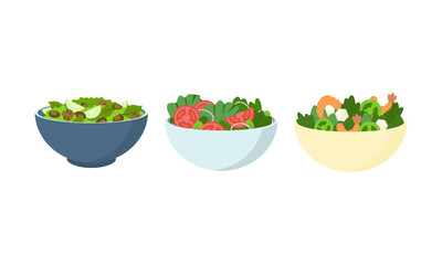 Flat vector set of vegetables and fruit salads. Consuming dishes from fresh products