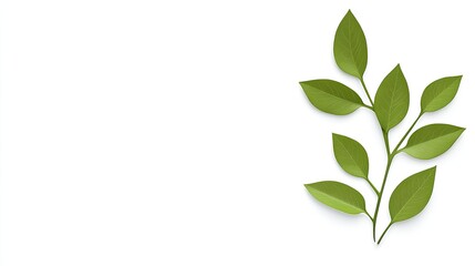 Obraz premium Fresh green leaves on a white background, symbolizing nature and tranquility for design use