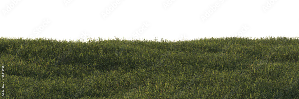 Aufkleber green grass field isolated on transparent background. 3d realistic rendering . png format