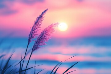 Soft pink sunset with tall grass silhouettes against a colorful sky at dusk or dawn