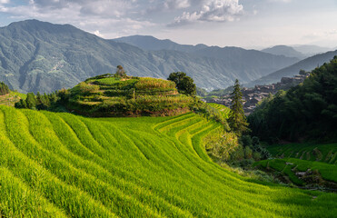 Guilin City, Guangxi Zhuang Autonomous Region-Longji Rice Terraces, sunset view