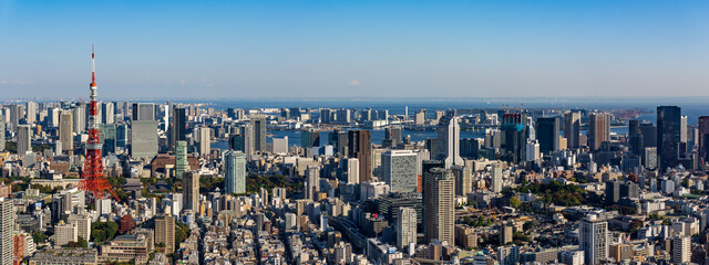 High rise buildings and Tokyo tower at Greater Tokyo area at daytime